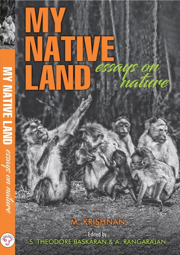 My Native Land Essays On Nature